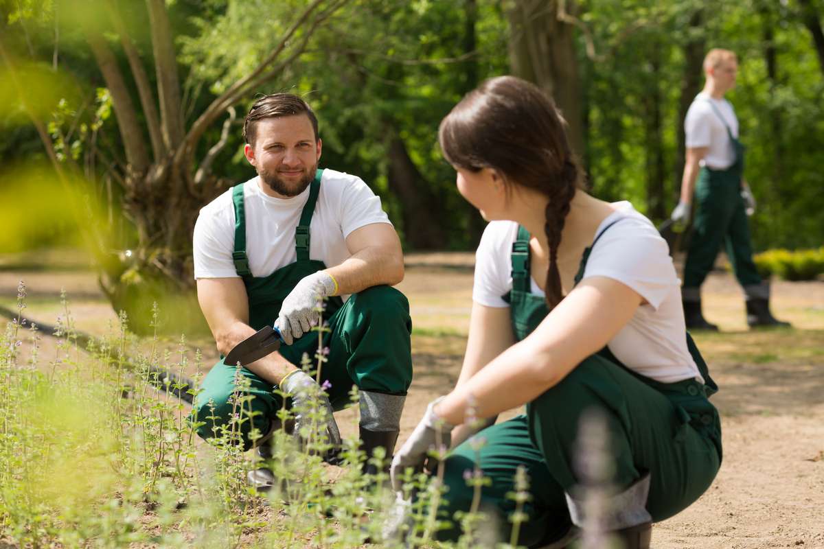 Smooth cooperation between passionate gardeners