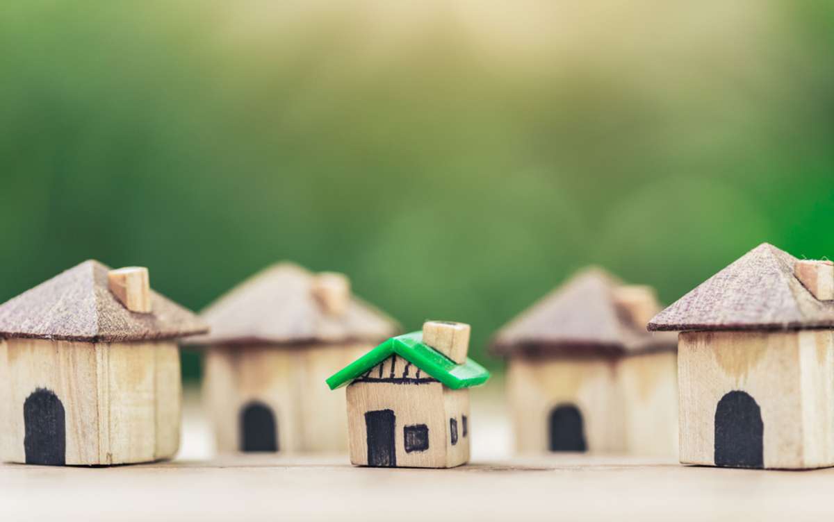 Green house in among wooden house for real estate