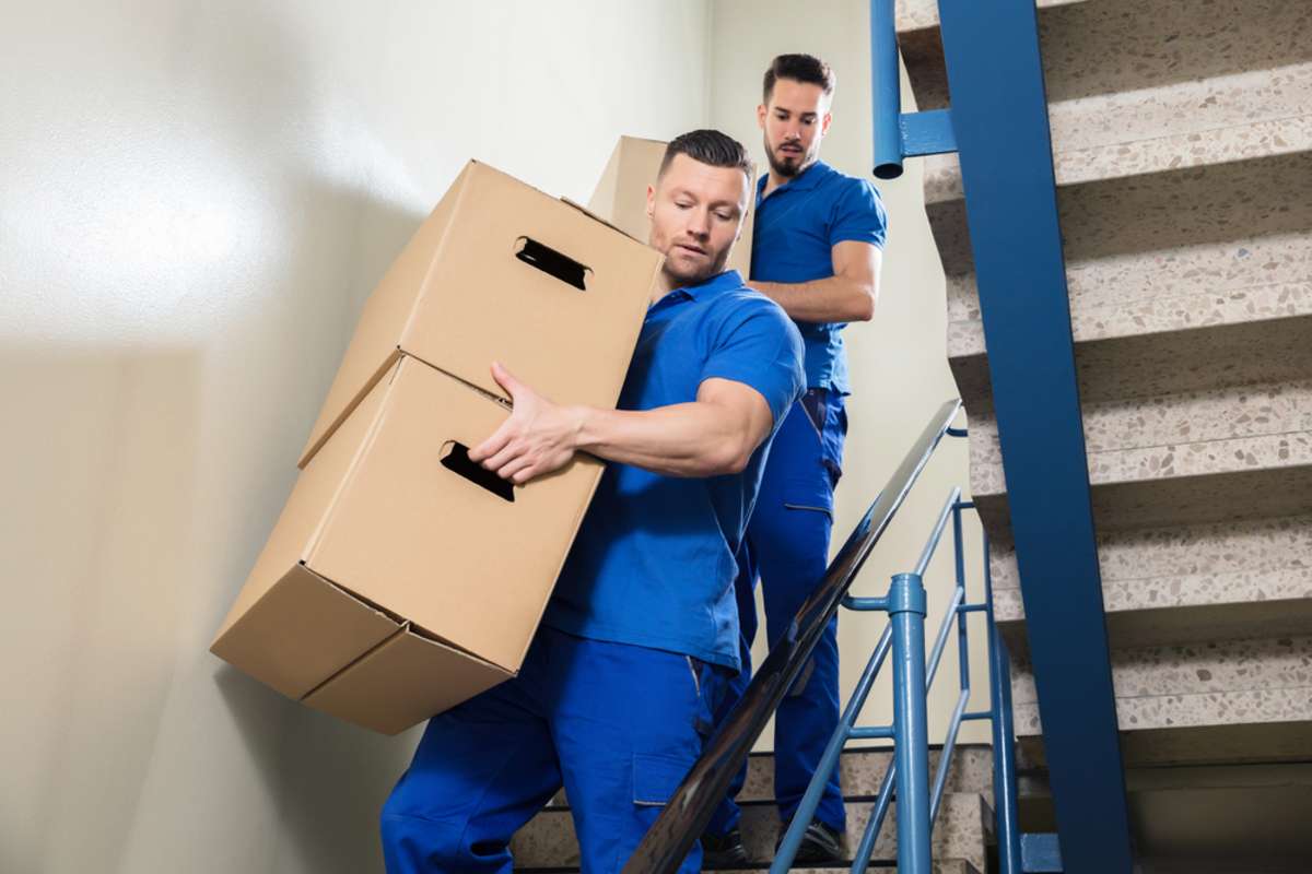 Two Young Male Movers In Blue Uniform