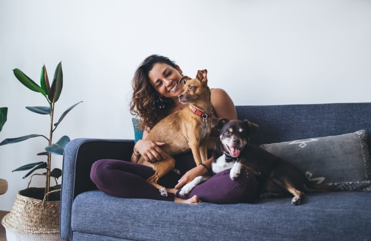 Cheerful woman resting on comfortable sofa with adorable little dog pets.