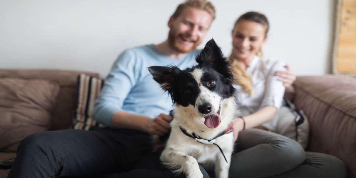 Beautiful couple relaxing at home and loving their pet